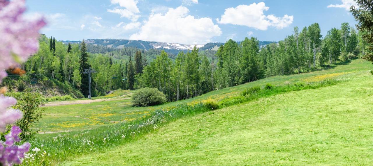 Laurelwood Condominiums 202 Snowmass Village Ngoại thất bức ảnh